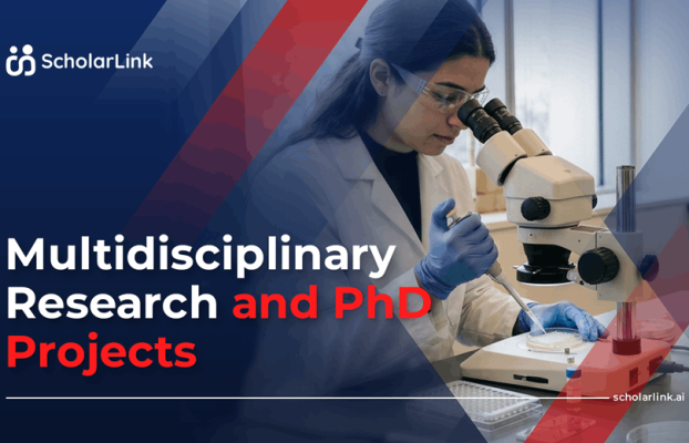 Multidisciplinary Research: Approaches, Benefits and PhD Project Examples